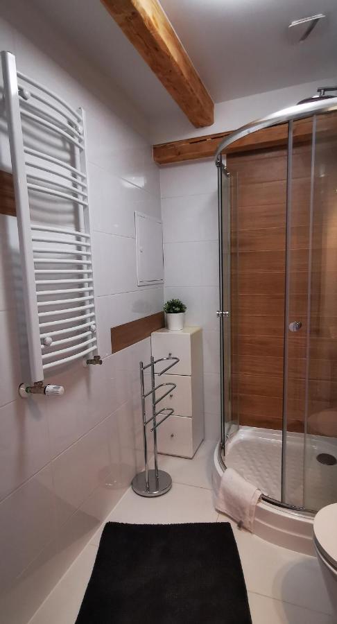 Klimatyczny apartament nr 8 z widokiem na góry Sowie Bielawa  Exterior foto